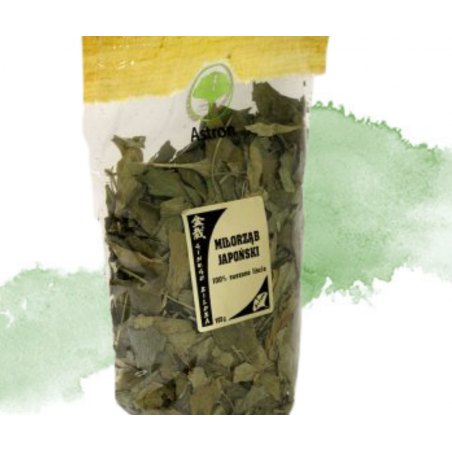MIŁORZĄB JAPOŃSKI LIŚĆ suplement diety ASTRON 100g