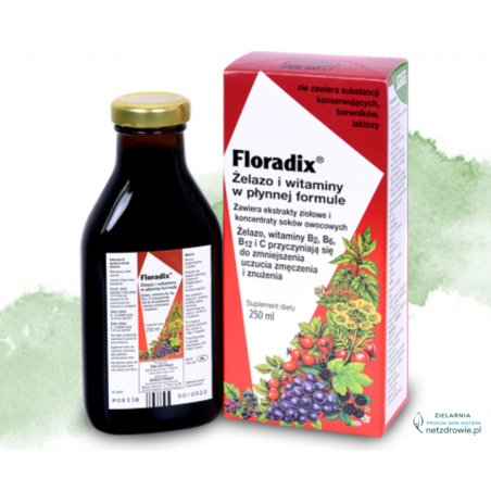 FLORADIX  Żelazo i witaminy. Suplement diety w płynie 250ml