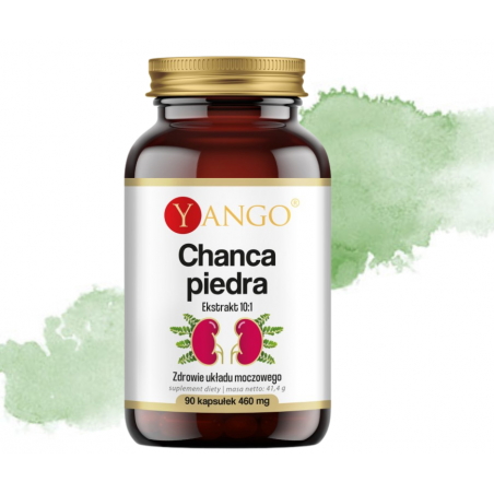 CHANCA PIEDRA (Phyllanthus niruri) ekstrakt Yango 90 sztuk