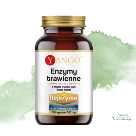 ENZYMY TRAWIENNE. Kompleks 5 enzymów trawiennych YANGO 60 sztuk