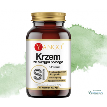 KRZEM ze skrzypu polnego YANGO 90 sztuk