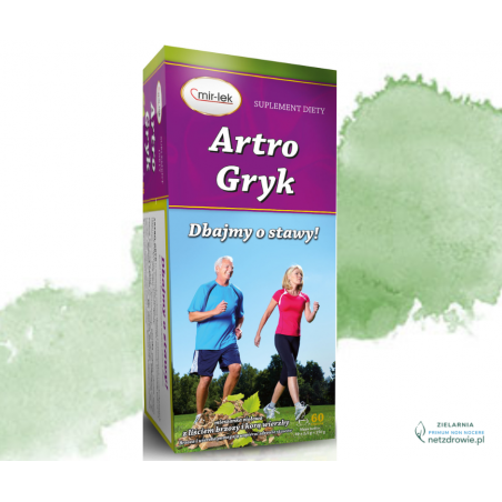 ARTRO-GRYK Suplement diety. Herbata w fixie 60 sztuk