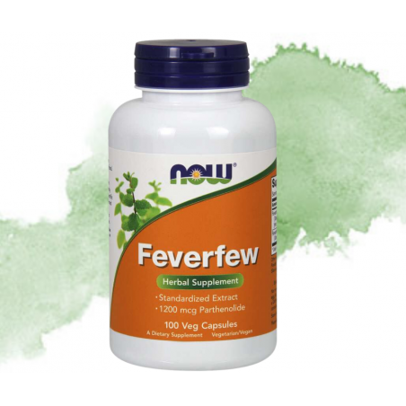 FEVERFEV (Złocień maruna) NOW  100 sztuk
