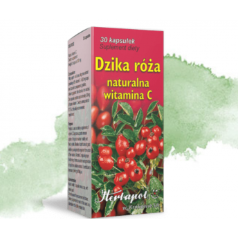 DZIKA RÓŻA 30 sztuk Herbapol