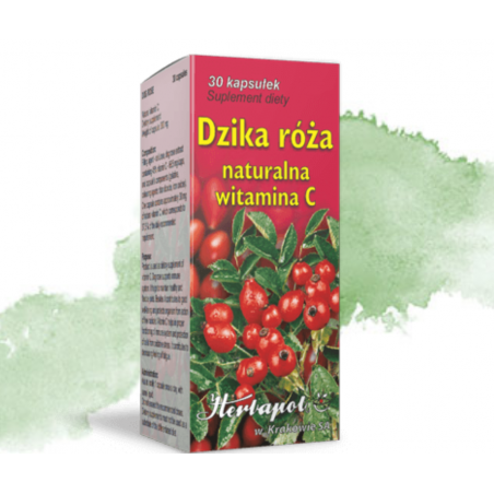 DZIKA RÓŻA 30 sztuk Herbapol DZIKA RÓŻA 30 sztuk Herbapol