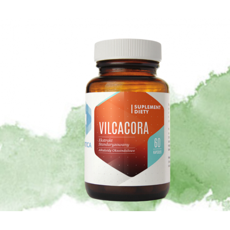 VILCACORA ekstrakt (Koci Pazur) suplement diety 60 kapsułek Hepatica