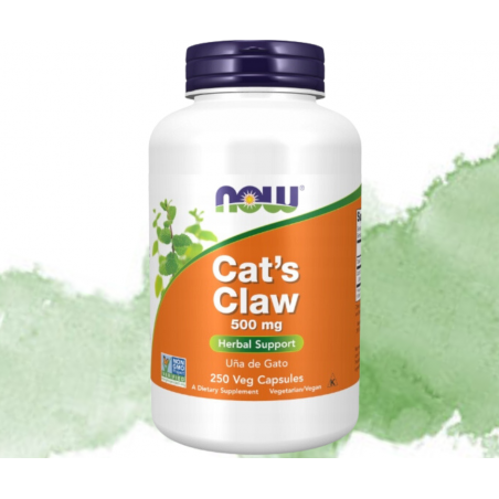 CAT'S CLAW 500mg (Koci Pazur/ VILCACORA) suplement diety 250 kapsułek NOW
