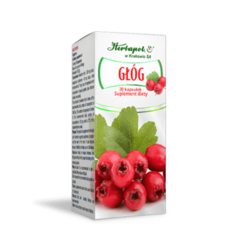 GŁÓG 30 sztuk Herbapol