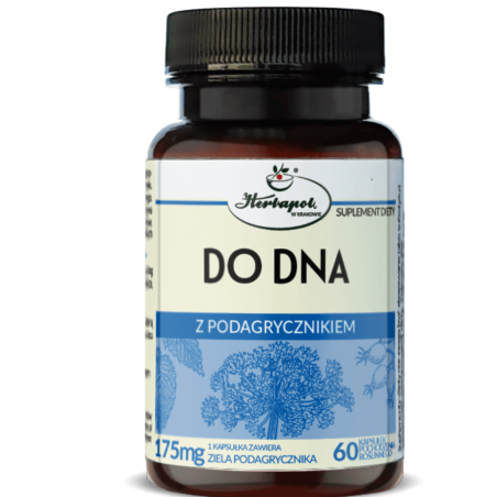 DO DNA z podagrycznikiem Herbapol 60 kapsułek