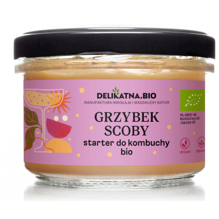 GRZYBEK SCOBY starter do kombuchy bio 150g