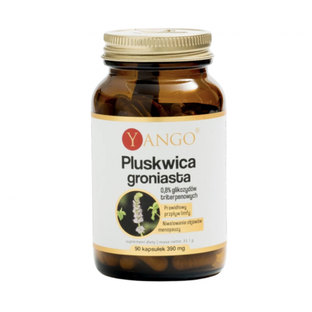 Pluskwica groniasta 90 kapsułek vege YANGO