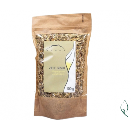 GRYKA ziele 100g Nanga