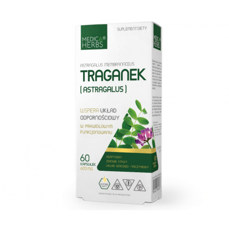 TRAGANEK (astragalus) 60 sztuk MedicaHerbs