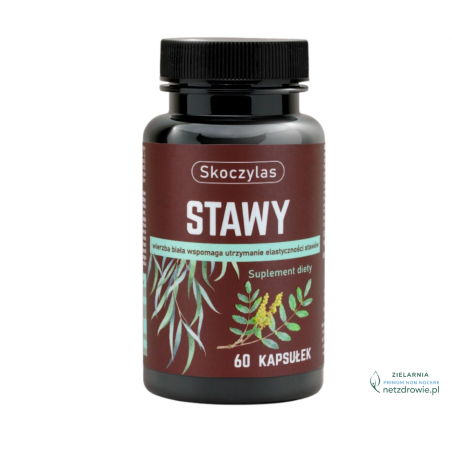 STAWY Skoczylas 60 kapsułek wegańskich