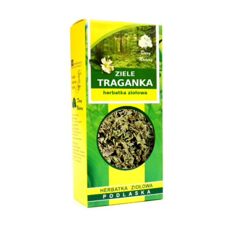 Traganek ziele 50g herbatka ziołowa Dary Natury