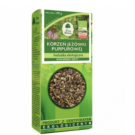 Korzeń jeżówki purpurowej 100g Dary Natury