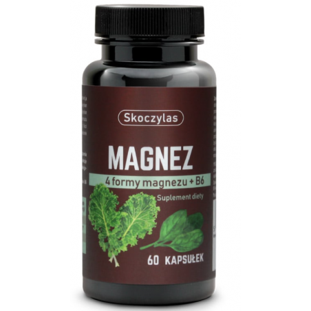 MAGNEZ 4 formy, witamina B6 Skoczylas 60 kapsułek