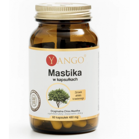 Mastica 60szt YANGO