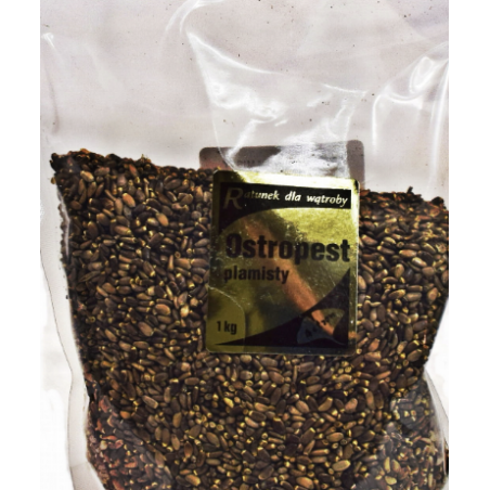 Ostropest plamisty nasiona 1kg Astron