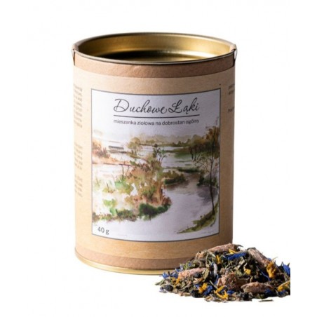 DUCHOWE ŁĄKI mieszanka ziołowa  40g Dworzysk