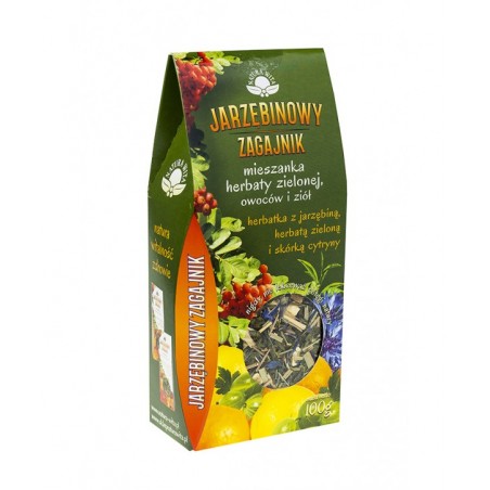Herbatka z jarzębiną, zieloną herbatą i skórką cytryny 100g Natura Wita