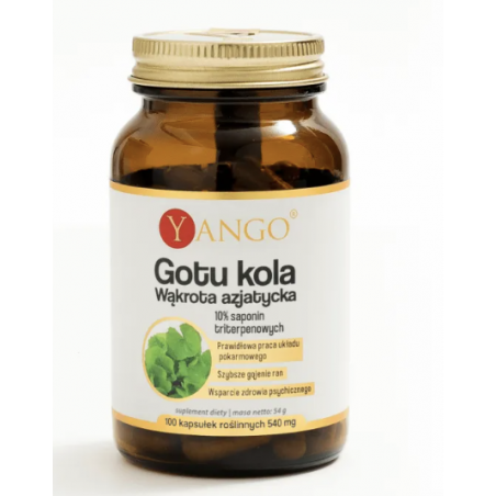 Gotu kola (Wąkrota azjatycka) 100 kapsułek Yango