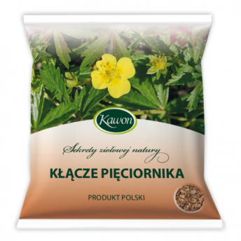 Kłącze pięciornika 50g Kawon