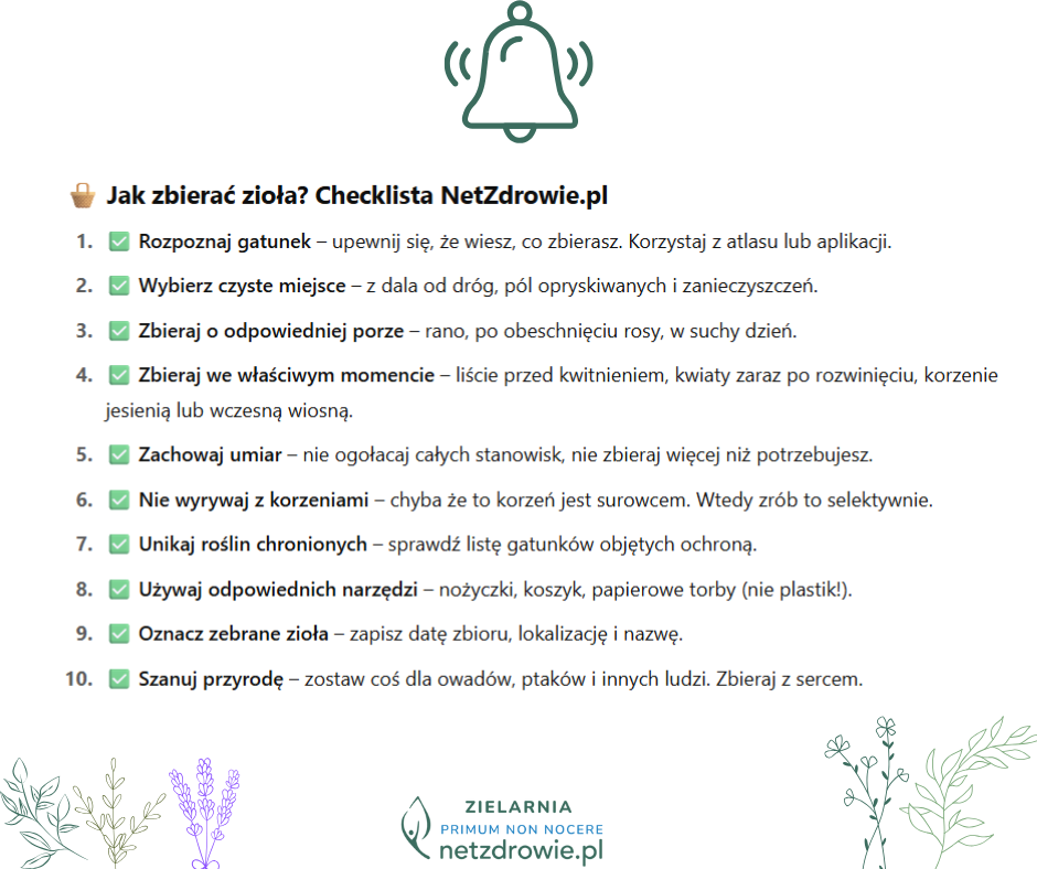 zioła na netzdrowie
