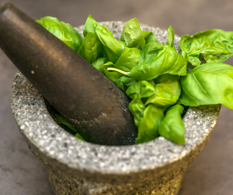 BAZYLIA - Historia, tradycja i nowoczesne zastosowania. Leksykon ziół