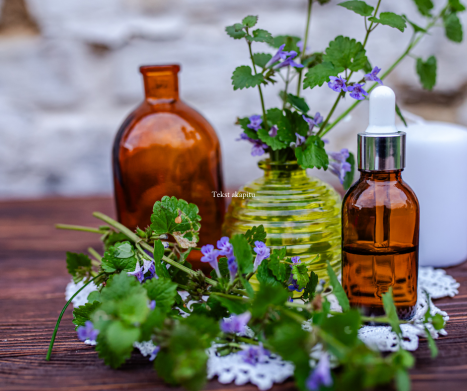 BLUSZCZYK KURDYBANEK- właściwości, działanie, przeciwwskazania. Leksykon ziół