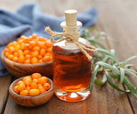 ROKITNIK pospolity. Leksykon ziół