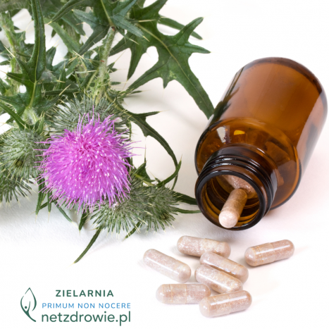 WĄTROBA-  kluczowy organ detoksykacji i jak go wspierać ziołami i dietą