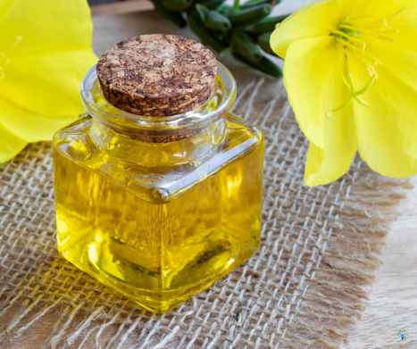 WIESIOŁEK dwuletni – naturalny sprzymierzeniec kobiecego zdrowia