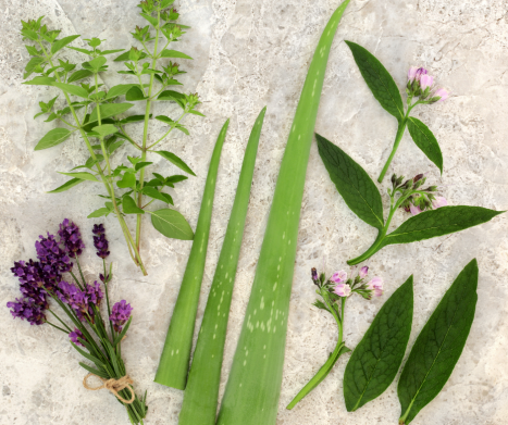 ŁUSZCZYCA- czy zioła mogą pomóc?