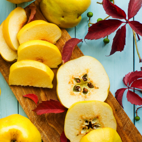 PIGWA I PIGWOWIEC- co o nich wiesz?