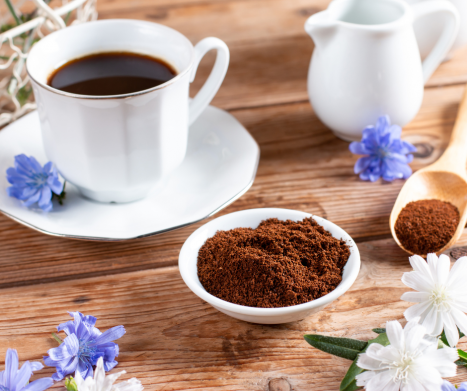 CYKORIA PODRÓŻNIK (Cichorium intybus) - właściwości i zastosowanie. Leksykon ziół
