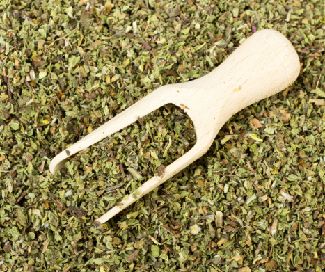 CZYSTEK- wszystko co musisz o nim wiedzieć. Leksykon ziół