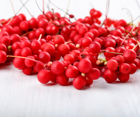 CYTRYNIEC CHIŃSKI (Schisandra chinensis)- skarb medycyny chińskiej