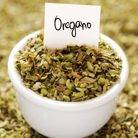 Zioło pełne zdrowia: OREGANO i jego korzyści dla organizmu. Leksykon ziół