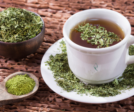 MORINGA OLEJODAJNA  (Moringa oleifera) – 5 faktów, które mogą Cię zaskoczyć