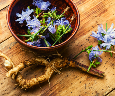 Zioła na woreczek żółciowy: kompleksowy przewodnik po ziołach wspierających zdrowie pęcherzyka żółciowego