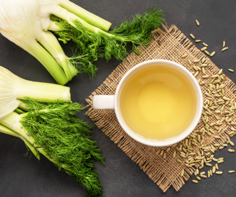 KOPER WŁOSKI -fenkuł (Foeniculum vulgare). Leksykon Ziół