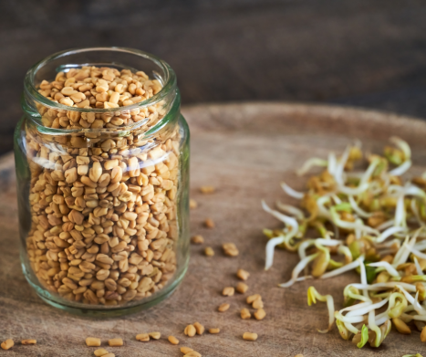 KOZIERADKA -właściwości i zastosowanie w fitoterapii. Leksykon ziół