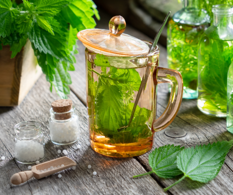 Zioła krwiotwórcze - polepsz wyniki morfologii krwi naturalnymi sposobami