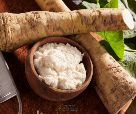 CHRZAN POSPOLITY – właściwości lecznicze, działanie, zastosowanie