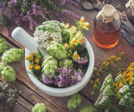 Zioła antynowotworowe: zioła w walce z rakiem