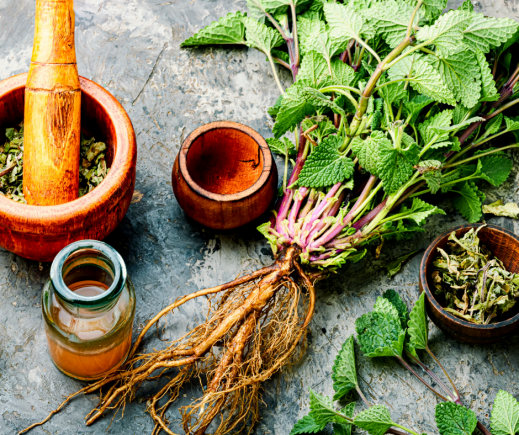 Zioła na ADHD i problemy z koncentracją: Naturalne metody na opanowanie zespołu nadpobudliwości psychoruchowej z deficytem uwagi.