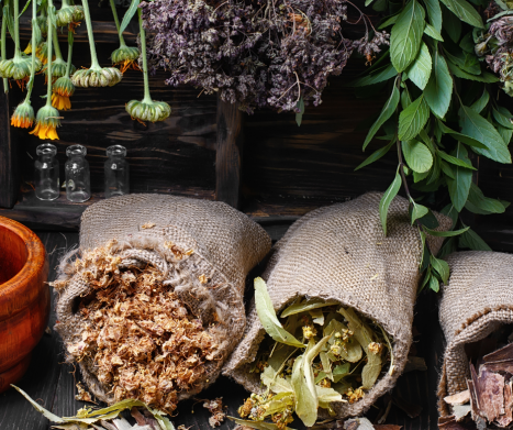 Zioła na Alzheimera i demencję: Naturalne metody wspomagania pamięci i funkcji poznawczych u seniorów.