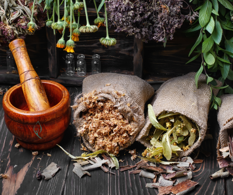 Jak kupować i przechowywać zioła, by naprawdę działały? Przewodnik Netzdrowie.pl