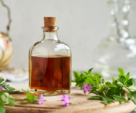 BODZISZEK CUCHNĄCY. Leksykon ziół